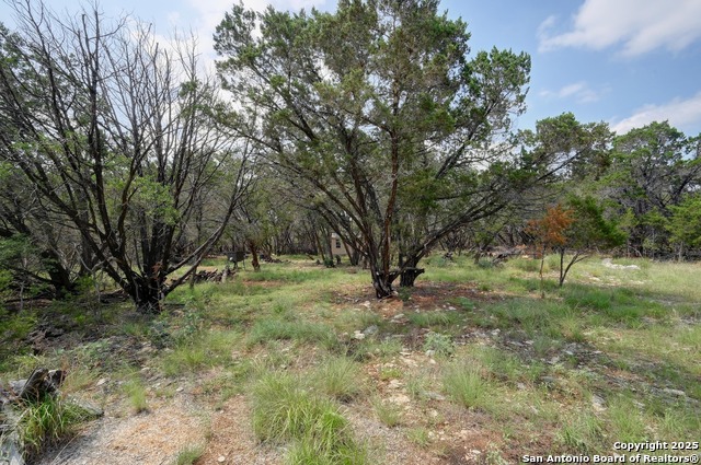 23211 S Breeze St, San Antonio, Texas image 26