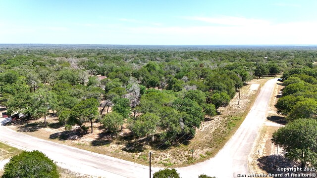 105 Scenic Oak, Floresville, Texas image 1