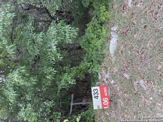 433 Pr 1706, Helotes, Texas image 3
