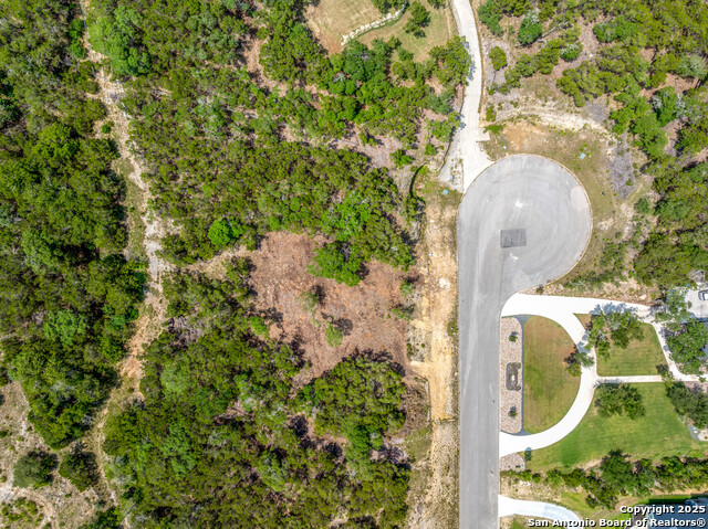 23306 White Doe Pass, San Antonio, Texas image 14
