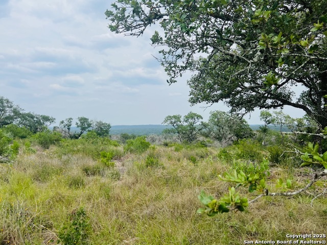 195 Crescent Ridge, Hondo, Texas image 5