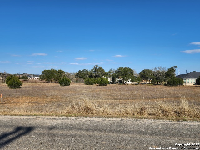 103 S Calvin Barrett, Blanco, Texas image 1