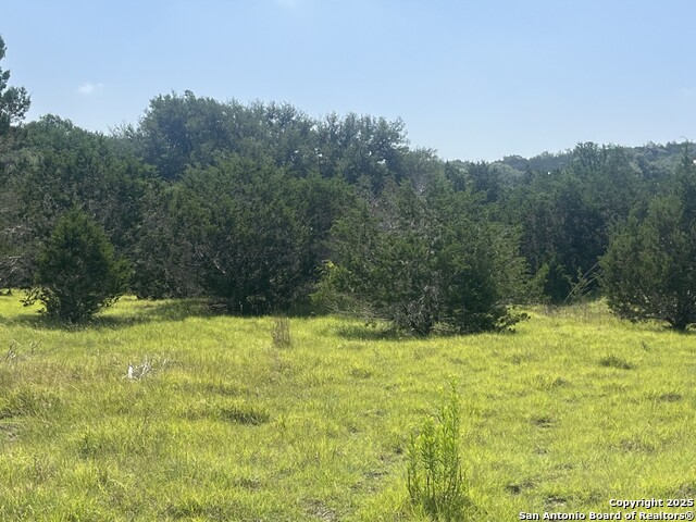 1809 Desiree, Canyon Lake, Texas image 1