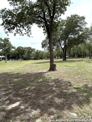 704 Hickory Sun, La Vernia, Texas image 7