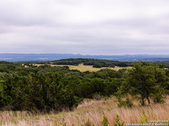 LOT 95 Big Sky, Blanco, Texas image 10