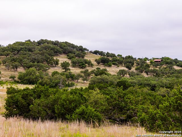LOT 95 Big Sky, Blanco, Texas image 8