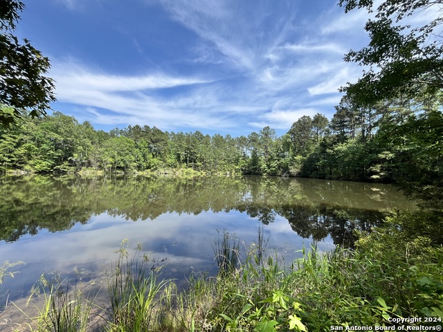 521 County Road 1759, Linden, Texas image 31