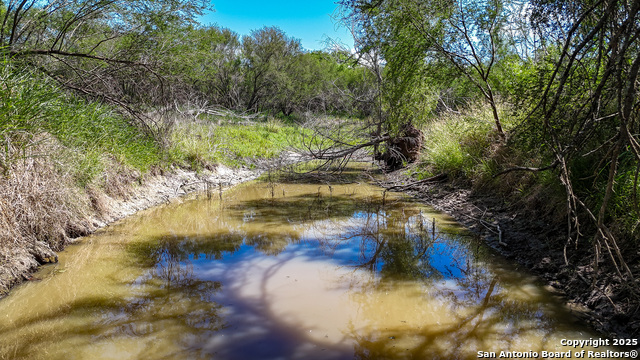 6266 Highway 281, Three Rivers, Texas image 8