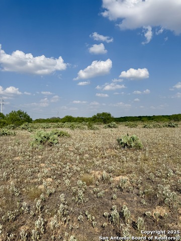 TBD E Cr 1647, Moore, Texas image 4
