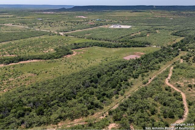 TBD County Road 174, Ovalo, Texas image 23