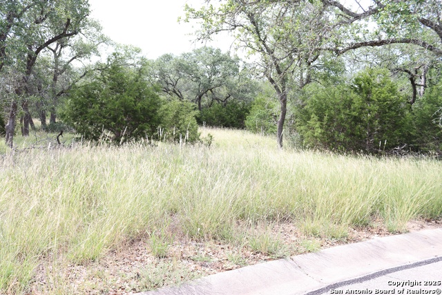 105 Sabella, Spring Branch, Texas image 2