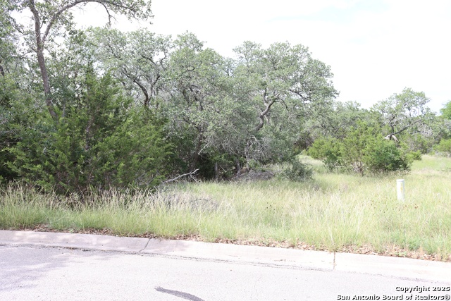 106 Sabella, Spring Branch, Texas image 1