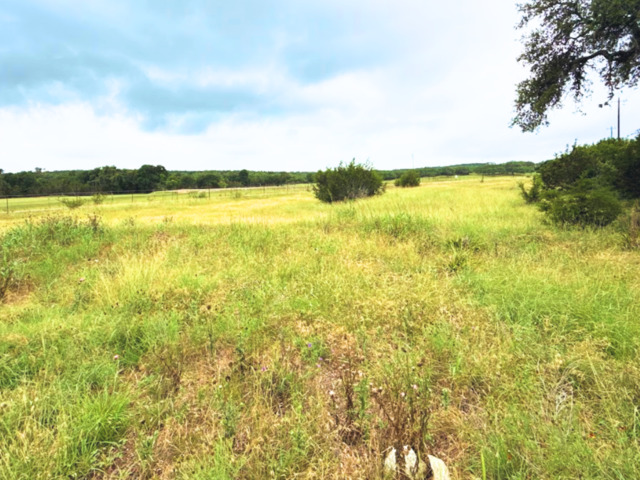 420 George Dolson, Blanco, Texas image 3