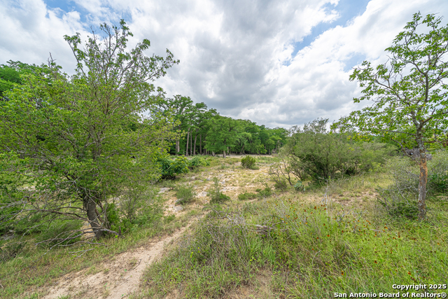 960 River, Bandera, Texas image 7