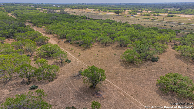 3922 Fm 2579, Floresville, Texas image 32