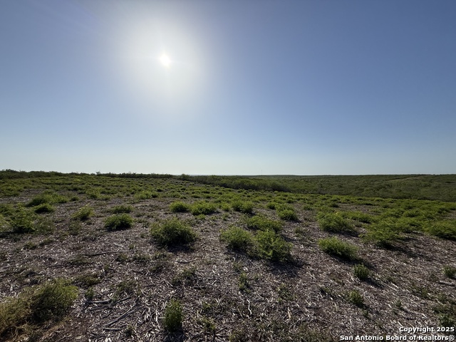 TRACT 34 Cr1515, Moore, Texas image 3