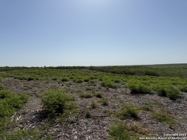 TRACT 34 Cr1515, Moore, Texas image 6