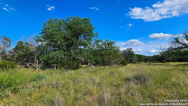 1205 Elm Creek, Medina, Texas image 10