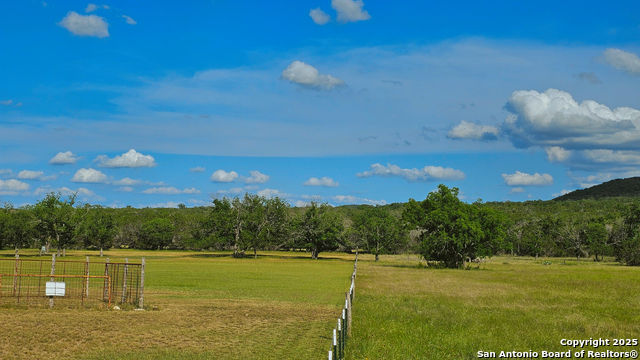 1205 Elm Creek, Medina, Texas image 6