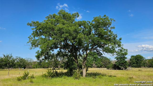 1205 Elm Creek, Medina, Texas image 7