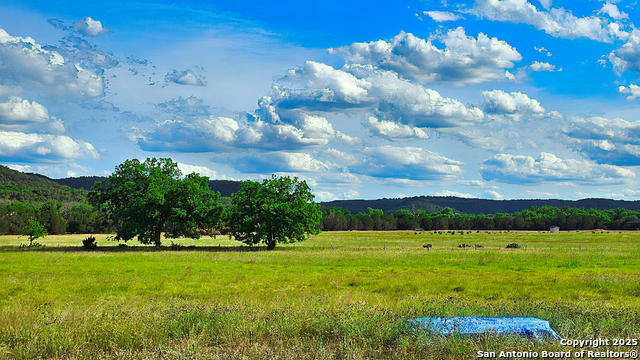 1205 Elm Creek, Medina, Texas image 8