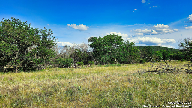 1205 Elm Creek, Medina, Texas image 9