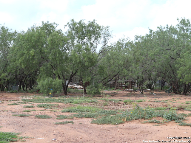 111 County Road 2660, Devine, Texas image 1
