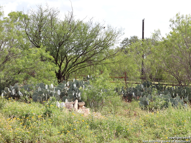 111 County Road 2660, Devine, Texas image 2