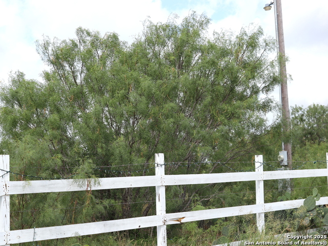 111 County Road 2660, Devine, Texas image 4