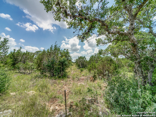 LOT 38 Sabinas Creek Ranch, Boerne, Texas image 10