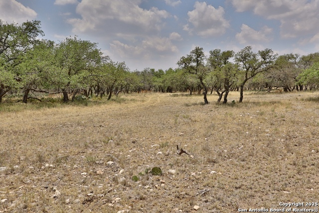 25 Dallas Josie Rd, Harper, Texas image 7