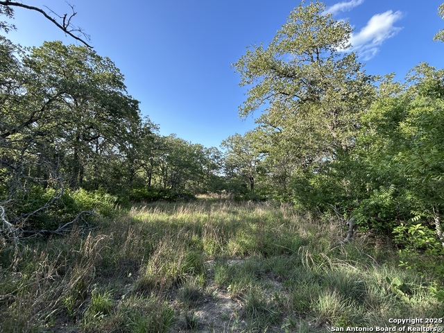 175 Smith, La Vernia, Texas image 1