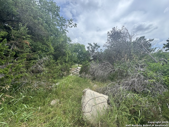 LOT 10 Browning, San Antonio, Texas image 15