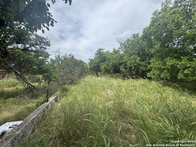 LOT 10 Browning, San Antonio, Texas image 27