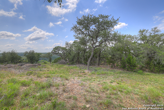 338 Sheridan, Canyon Lake, Texas image 17