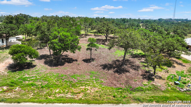 355 Curvatura, New Braunfels, Texas image 12