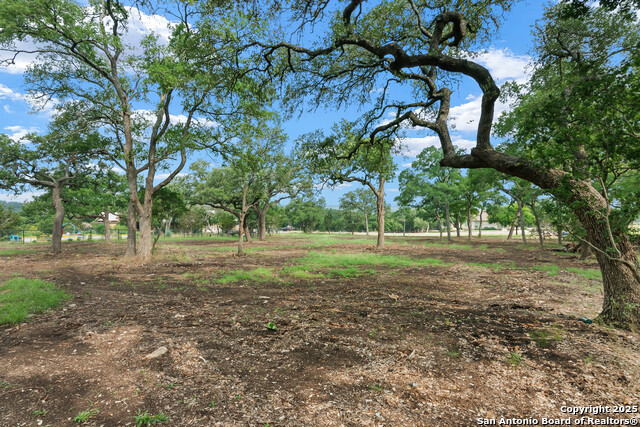 355 Curvatura, New Braunfels, Texas image 2