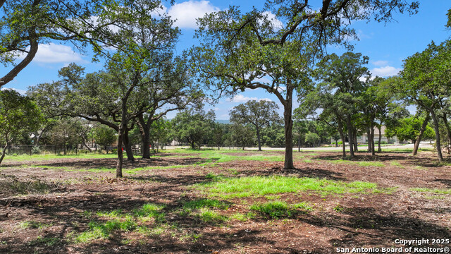 355 Curvatura, New Braunfels, Texas image 3