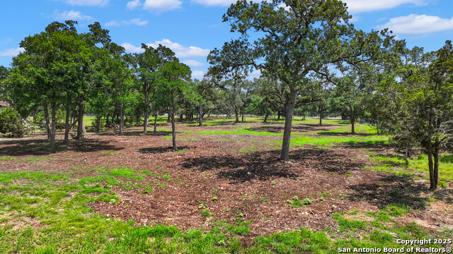 355 Curvatura, New Braunfels, Texas image 4