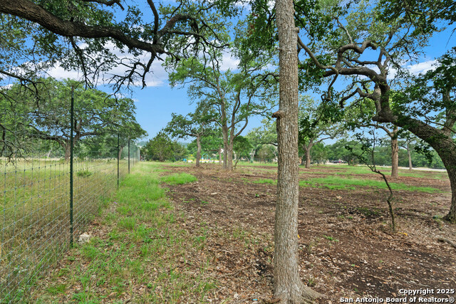 355 Curvatura, New Braunfels, Texas image 5
