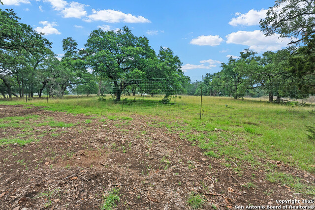 355 Curvatura, New Braunfels, Texas image 6