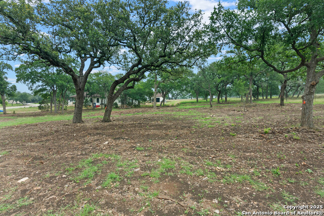 355 Curvatura, New Braunfels, Texas image 7