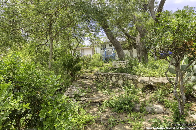 2422 Hillcrest Dr, San Antonio, Texas image 30