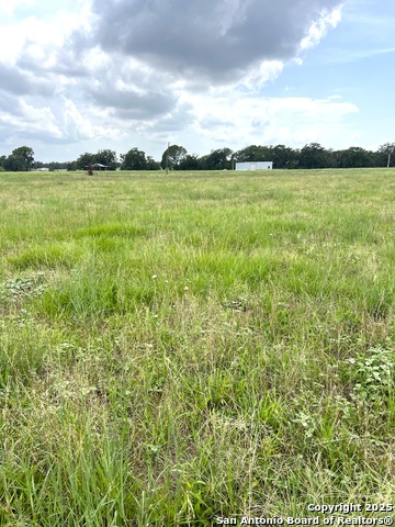 6605 Gander Slough, Kingsbury, Texas image 1