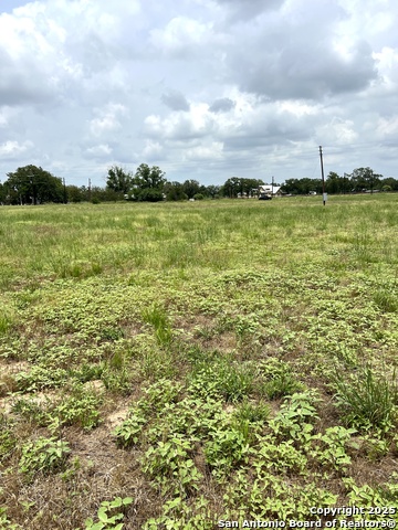 6605 Gander Slough, Kingsbury, Texas image 10