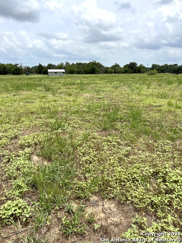 6605 Gander Slough, Kingsbury, Texas image 11