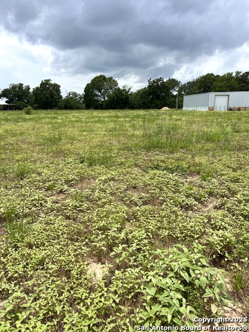 6605 Gander Slough, Kingsbury, Texas image 13