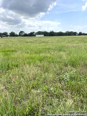 6605 Gander Slough, Kingsbury, Texas image 2