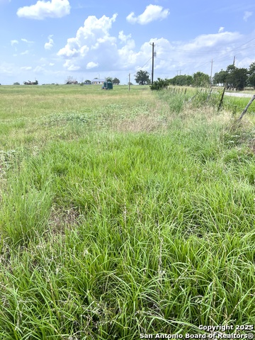 6605 Gander Slough, Kingsbury, Texas image 4