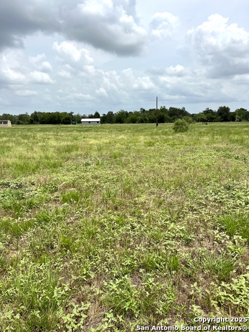 6605 Gander Slough, Kingsbury, Texas image 7